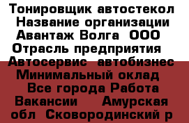 Тонировщик автостекол › Название организации ­ Авантаж-Волга, ООО › Отрасль предприятия ­ Автосервис, автобизнес › Минимальный оклад ­ 1 - Все города Работа » Вакансии   . Амурская обл.,Сковородинский р-н